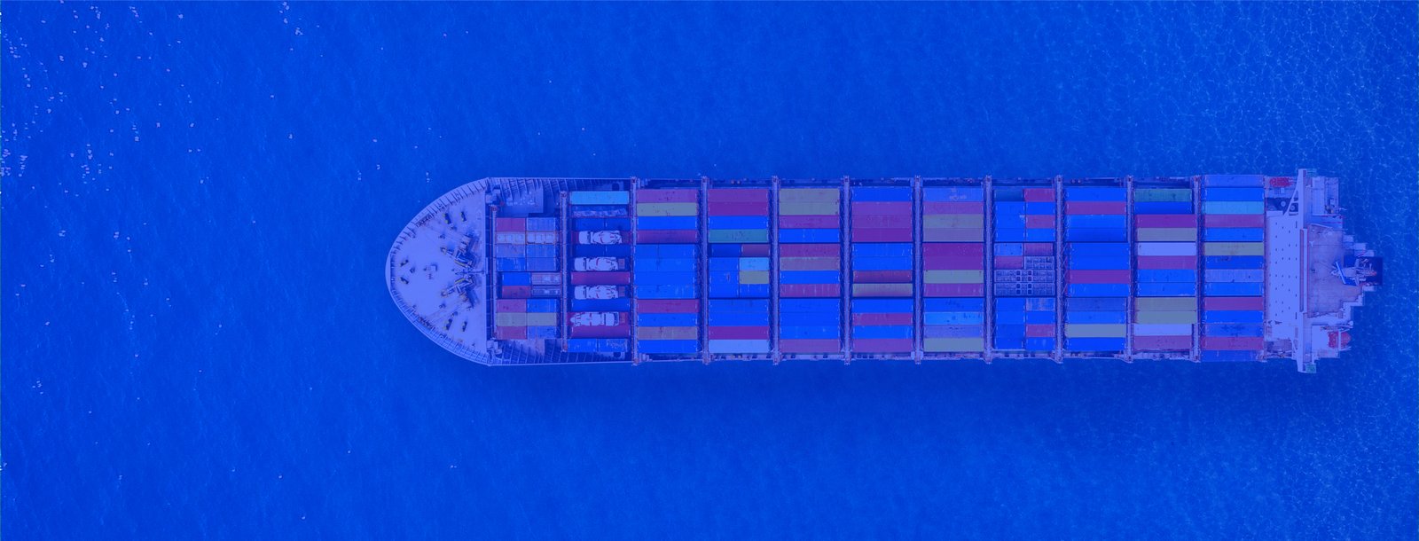 BLUELYNK Global Shipping